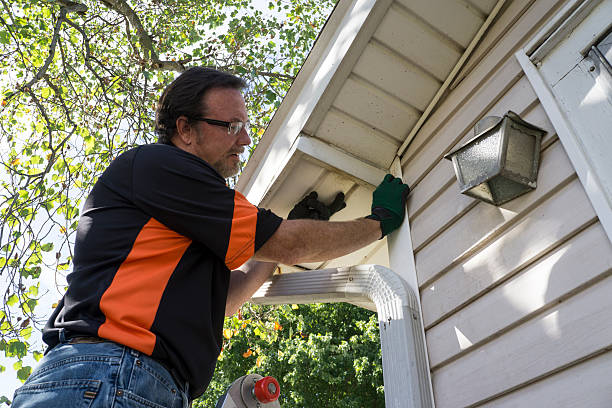 Professional Junk Removal in Seminole Manor, FL